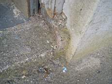 portlaw 1169.jpg